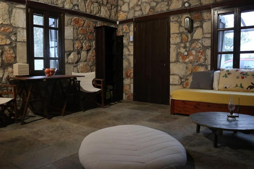 Diaporos Wood & Stone Dream View House Bヴィラ エクステリア 写真