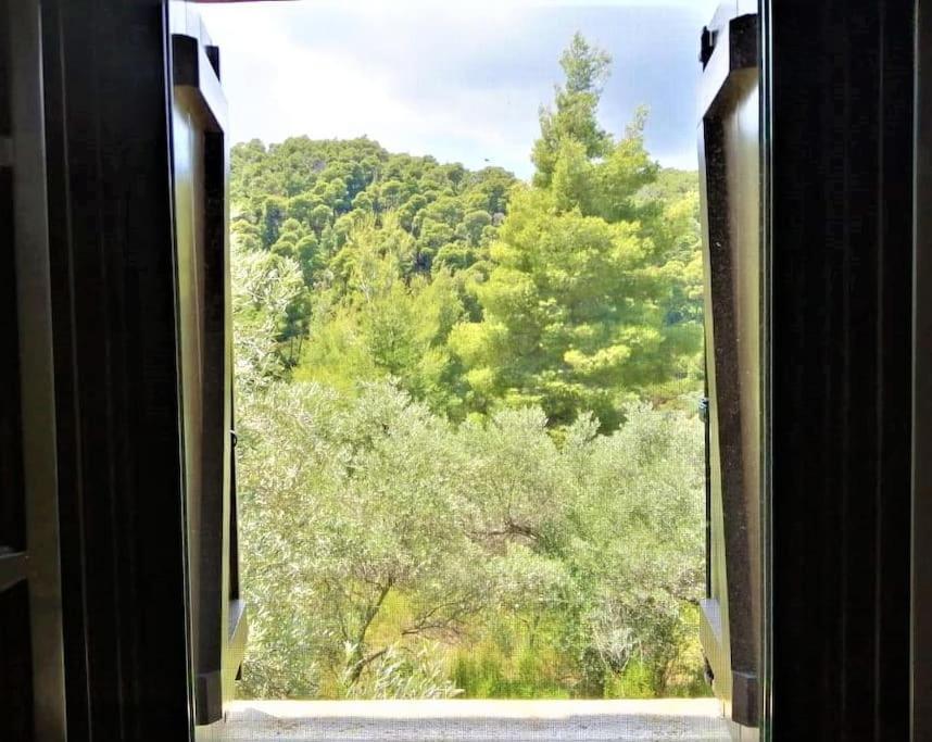Diaporos Wood & Stone Dream View House Bヴィラ エクステリア 写真