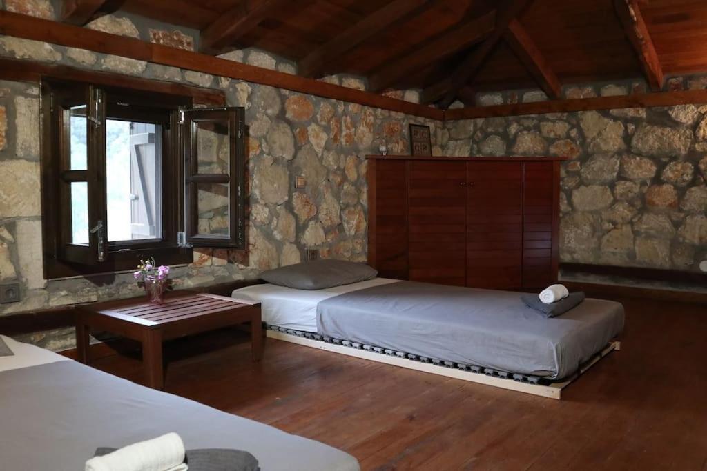 Diaporos Wood & Stone Dream View House Bヴィラ エクステリア 写真
